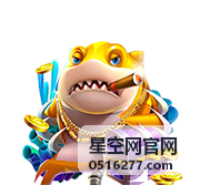 星空网官网跨境电商团队专线组网案例